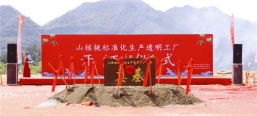 【一线投影】临安区年产10000吨山核桃标准化生产透明工厂项目开工  ！